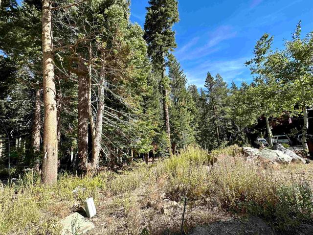 Land for sale in Mammoth Lakes, California