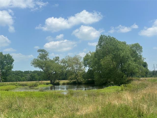 Land for sale in Leon, Texas