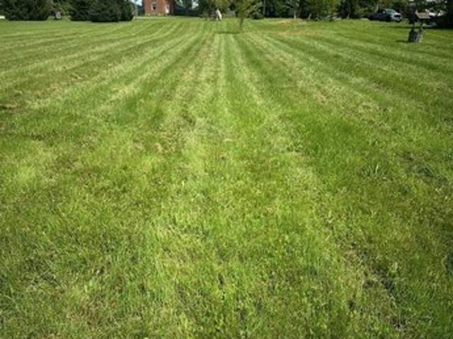 Land for sale in Birch Run, Michigan