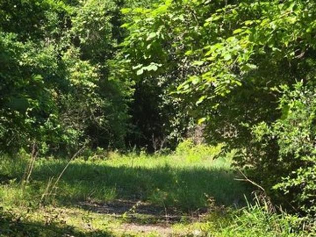 Land for sale in Newton, Texas