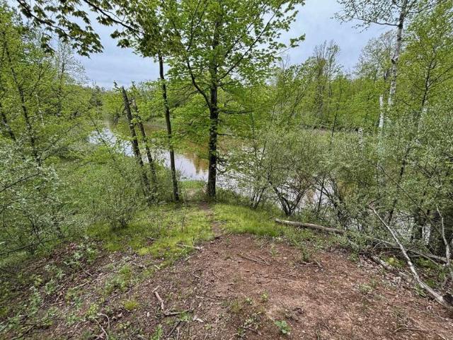 Land for sale in Gladwin
