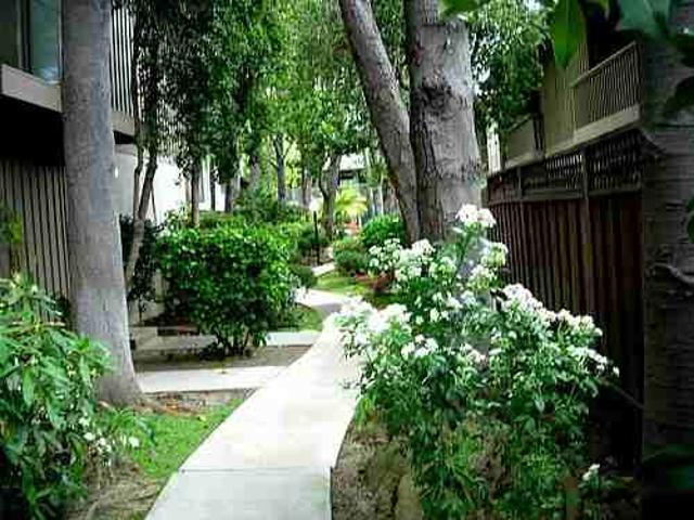 Apartment for rent in Mountain View, California