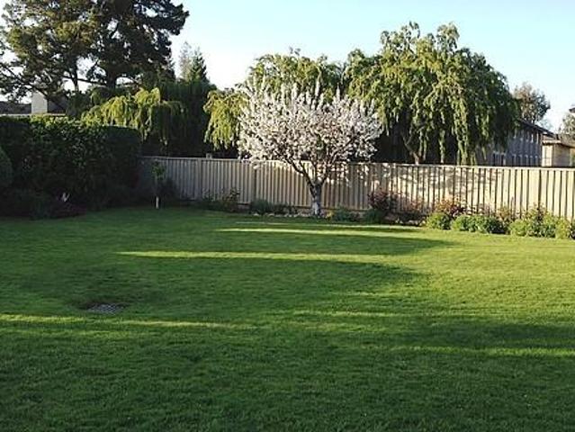 Apartment for rent in Mountain View, California