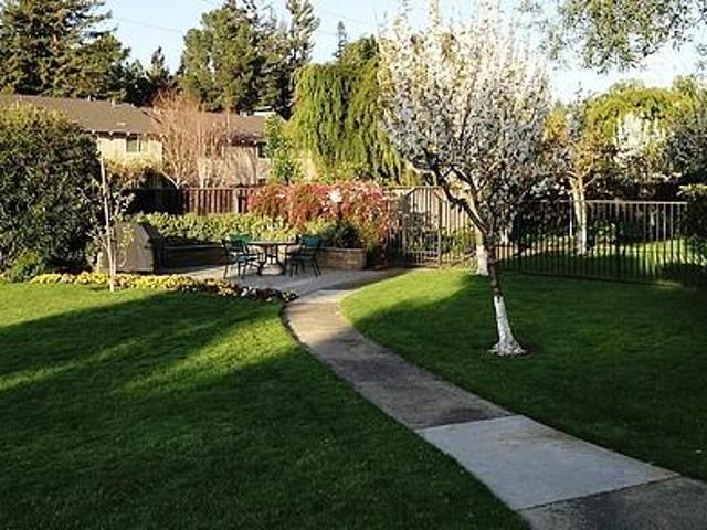 Apartment for rent in Mountain View, California