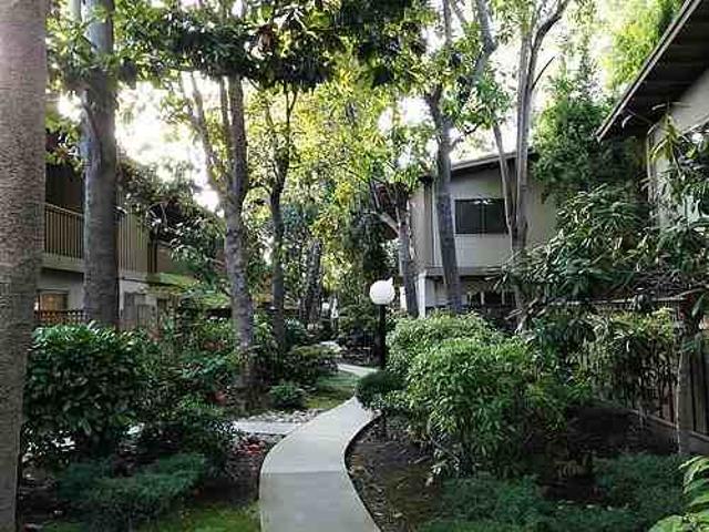 Apartment for rent in Mountain View, California