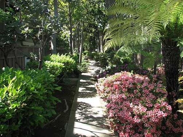 Apartment for rent in Mountain View, California