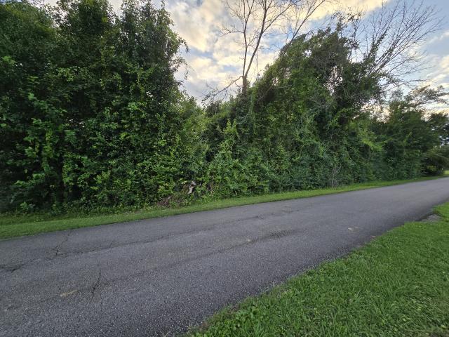 Land for sale in Tennessee