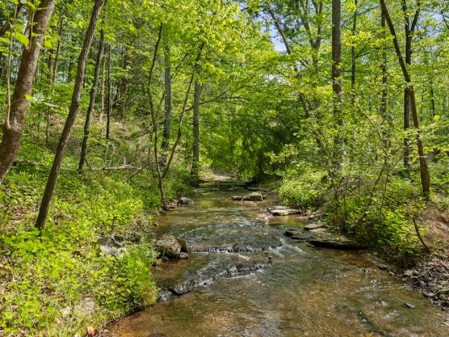 Land for sale in Tennessee