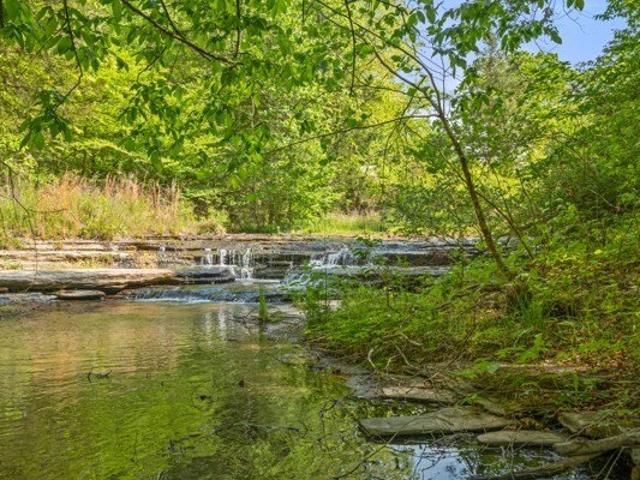 Land for sale in Centerville, Middle Tennessee