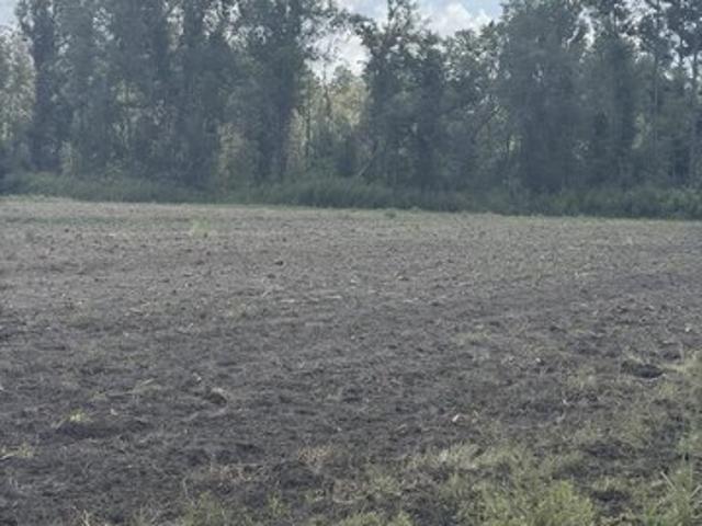 Farm for sale in Nashville, Georgia