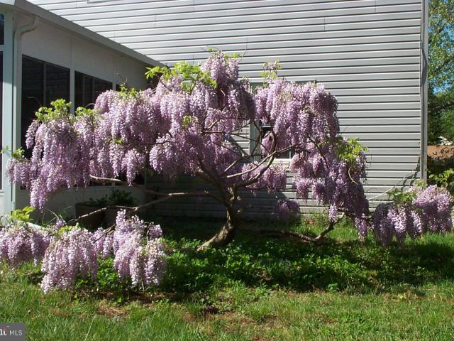 Property for sale in Bowie, Maryland