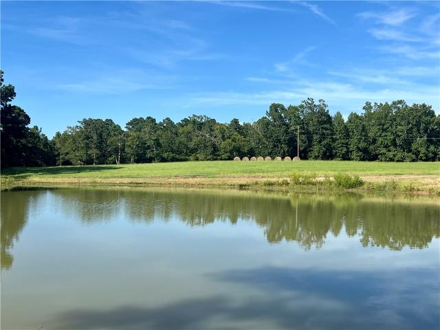House for sale in Leon, Texas