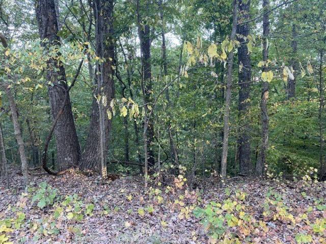 Land for sale in Tennessee