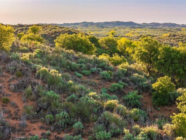 Land for sale in Hall, Texas