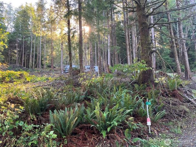 Land for sale in Sekiu, Clallam County