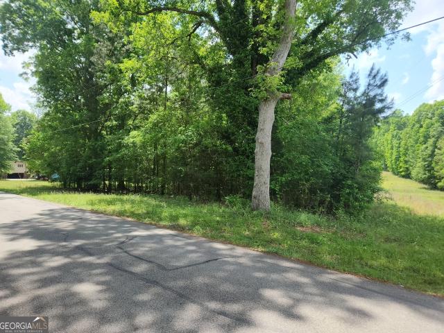 Land for sale in Union Point, Georgia