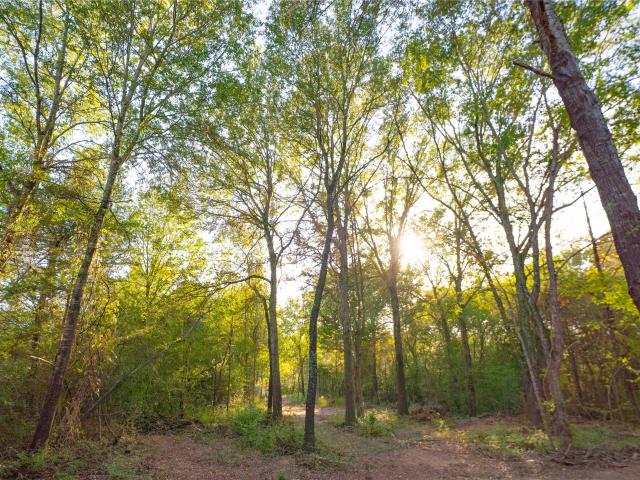Land for sale in Seger, Hearne