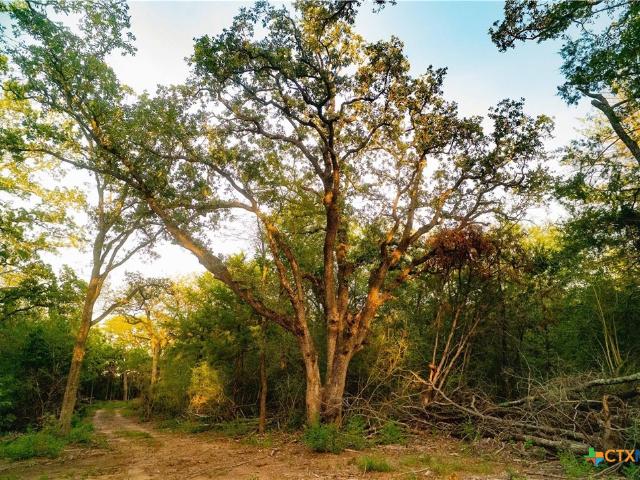 Land for sale in Seger, Hearne
