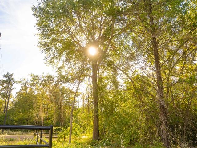 Land for sale in Seger, Hearne