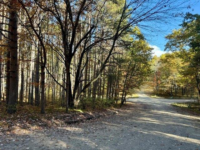 Land for sale in Stanwood, Michigan