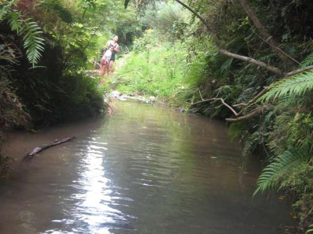 Land for sale in Helena Bay, Northland