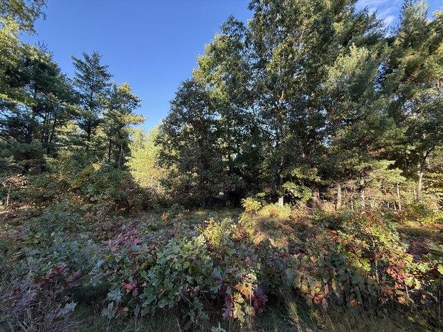 Land for sale in Whitehall, Michigan