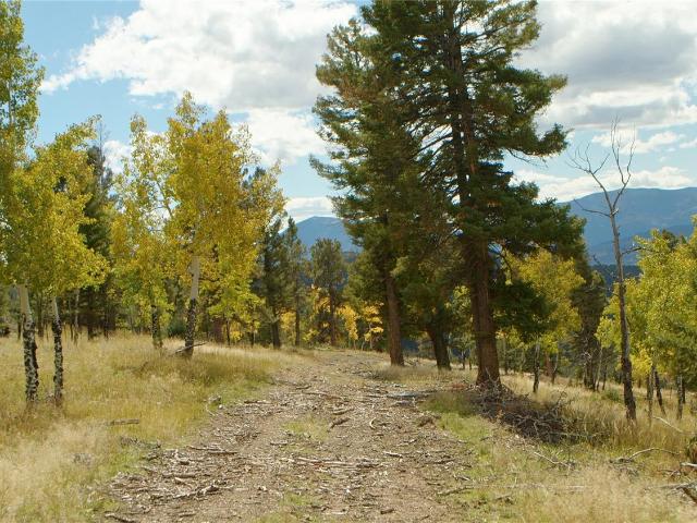 Farm for sale in Conifer, Colorado
