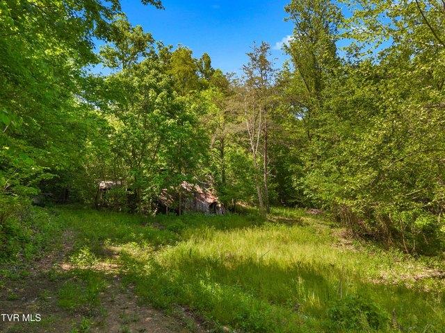 Land for sale in Tennessee