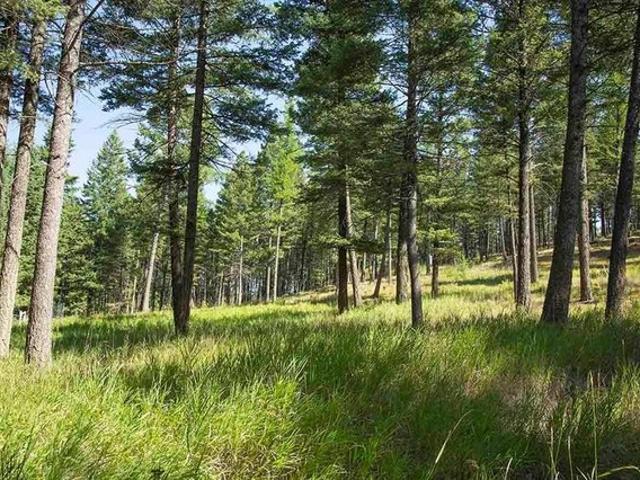 Land for sale in Kalispell, Montana