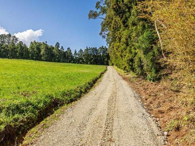 Property for sale in Kerikeri, Bay of Islands