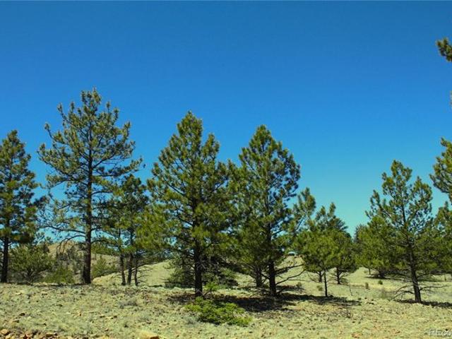 Land for sale in Hartsel, Colorado