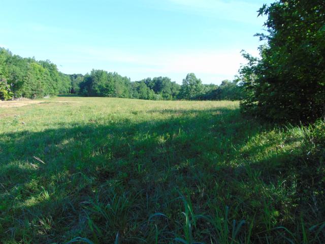 Land for sale in Lexington, Alabama