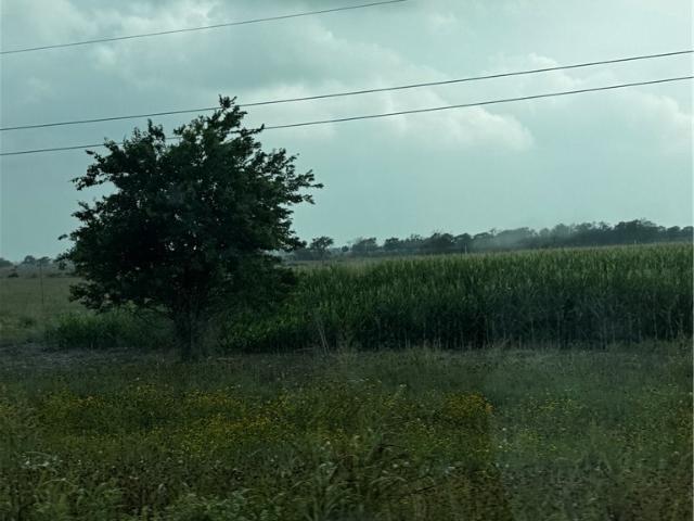 Land for sale in Belton, Texas