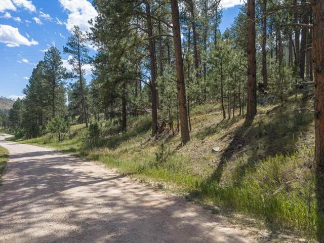 Land for sale in Custer, South Dakota