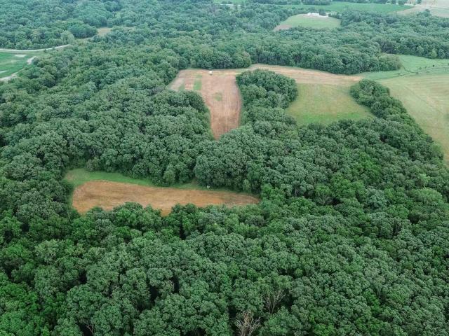 Land for sale in Birmingham, Iowa