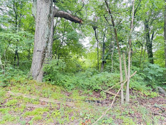 Land for sale in Michigan