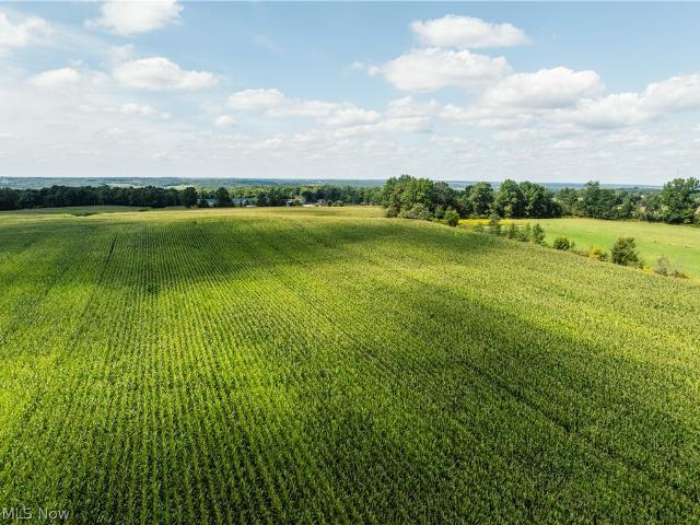 Land for sale in Burbank, Wayne County