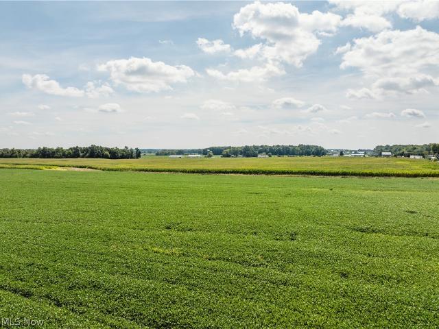 Land for sale in Burbank, Wayne County