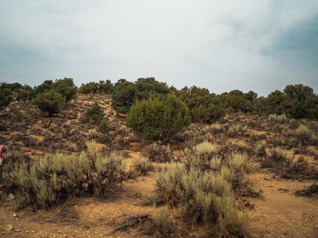 Land for sale in Duchesne, Utah