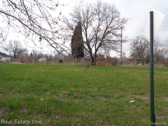 Land for sale in Hamtramck