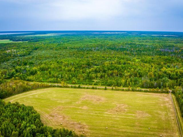 Land for sale in Beltrami, Minnesota