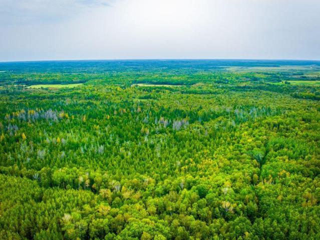 Land for sale in Blackduck, Beltrami County