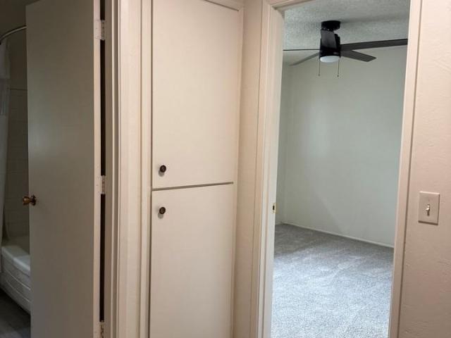 Apartment for rent in Eugene, Lane County