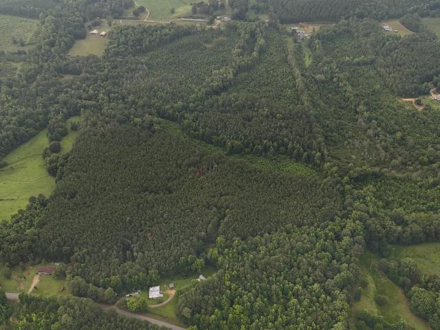 Land for sale in Heflin, Alabama