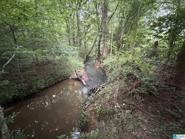 Land for sale in Heflin, Alabama