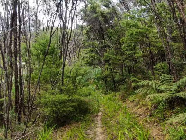 House for sale in Fairburn, Northland