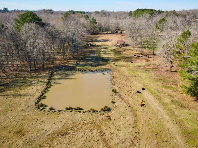 Land for sale in Moulton, Alabama