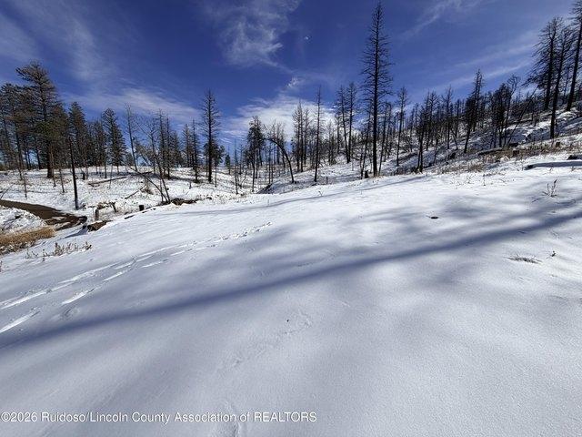 Land for sale in Alto, New Mexico