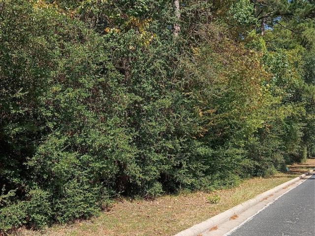 Land for sale in Huntsville, Walker County