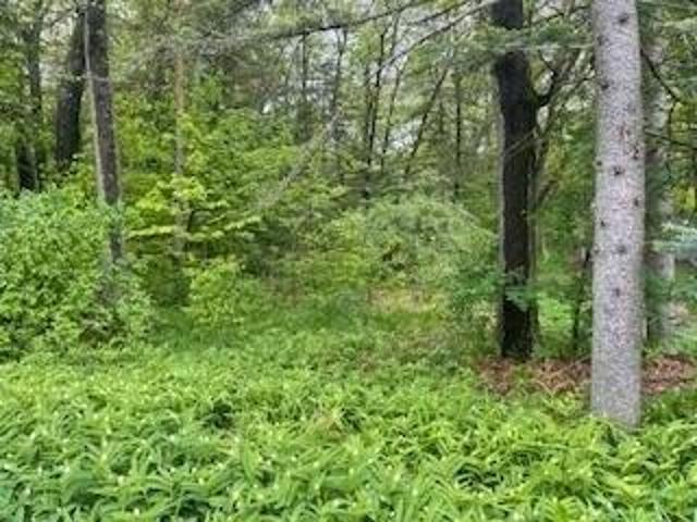Land for sale in Houghton Lake